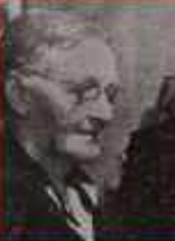 Maria van den Ameele