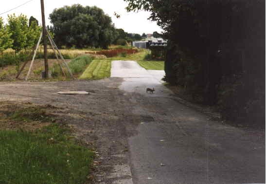 kazand 2000